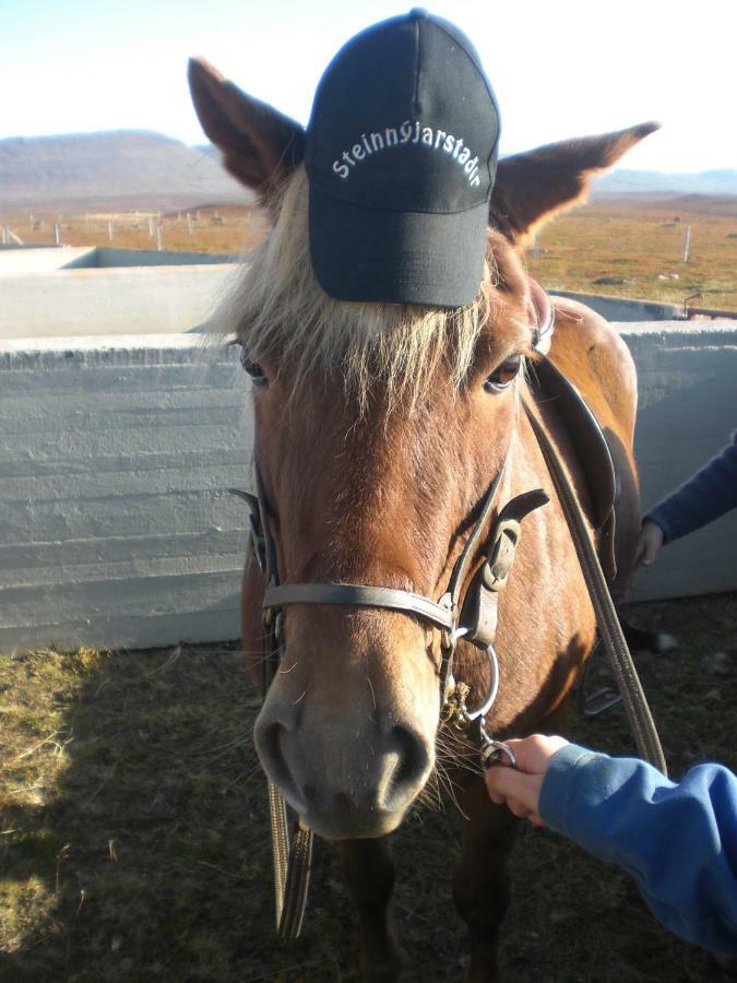 Steinnyjarstathir Skagastrond Eksteriør billede